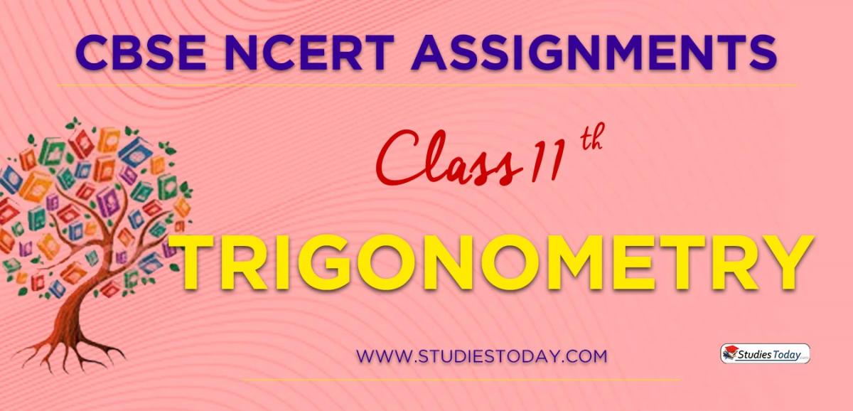 Assignments For Class 11 Trigonometry PDF Download